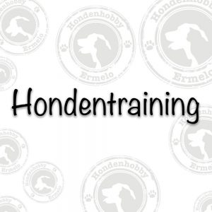 Hondentraining