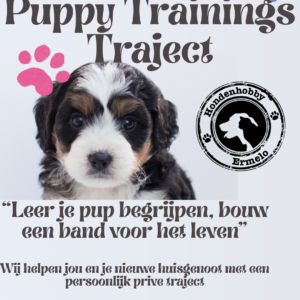 Puppy Trainings Traject