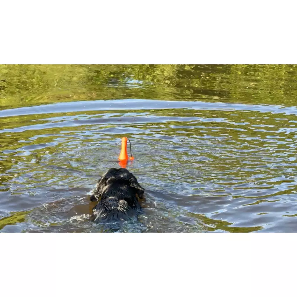 Dog Comets - Bobber - Afbeelding 4