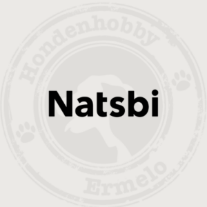 NATSBI